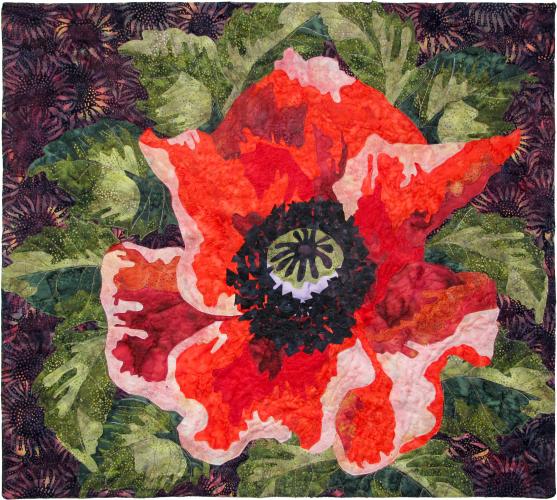 Papaver Rouge by 